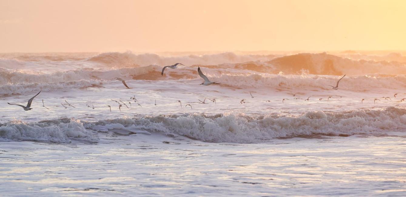 The Maverick Ormond Beach Εξωτερικό φωτογραφία